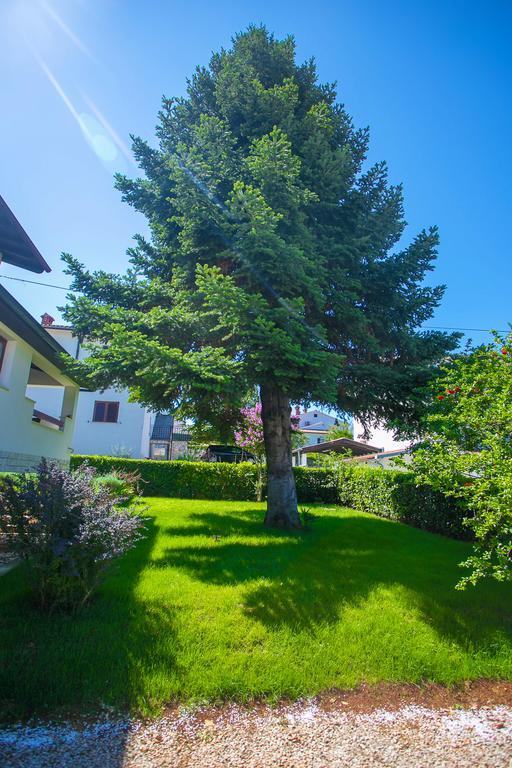 Apartment Pinia Poreč Zewnętrze zdjęcie